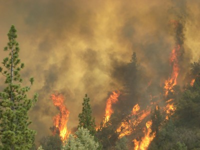 The Washington Fire burns Monday near the Alpine County town of Markleeville. 