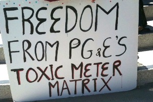 A sign from a smart meter protest in 2010.