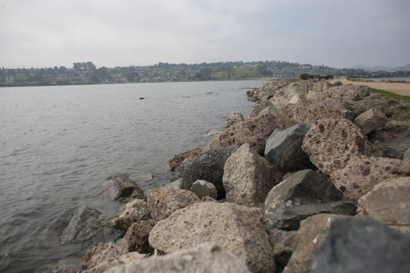 During king tides, which occur when the gravity of the sun and the moon align, 'We can get an idea of what a permanent rise in sea level might look like in our communities,' says the California King Tides Project. In these stills from a time­lapse video, the tide at Heron’s Head Park near Hunters Point rose 5.75 feet over 5.5 hours.