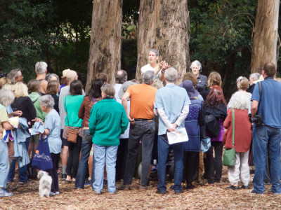 Jack Gescheidt and his Tree Spirit Project team address a group of volunteers at UC Berkeley on Saturday. 