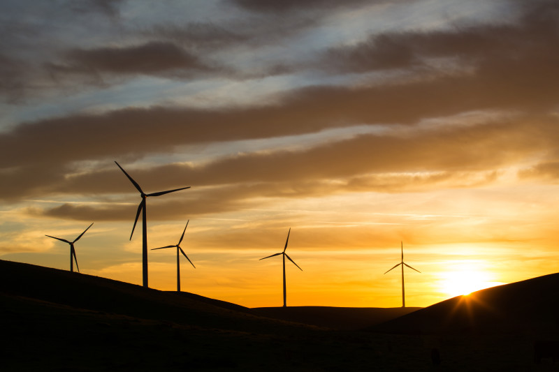 Wind power is an important part of California's energy plan.