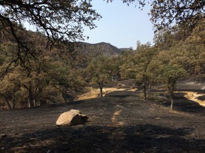 Countryside burned in the Rocky Fire along Highway 20 in Lake County.