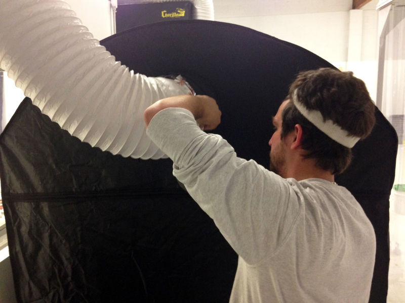 Elliot Mermel of Coalo Valley Farms sets up ventilation tubes for a cricket breeding tent.