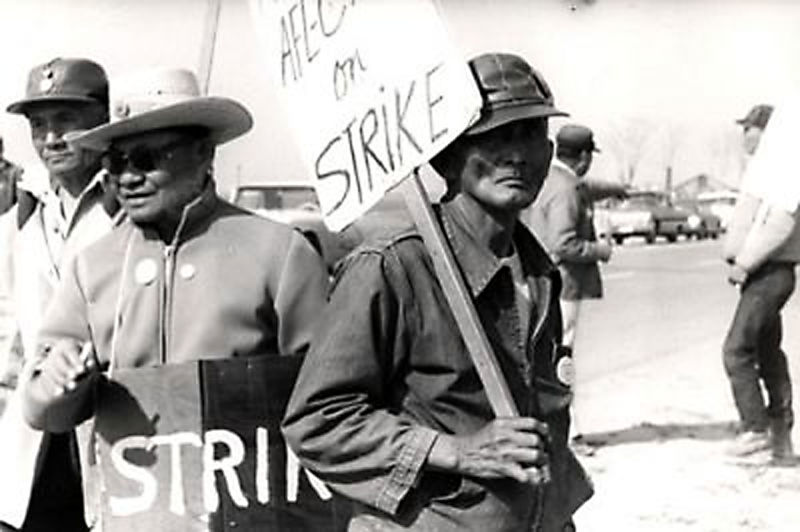Filipino farmworkers were the first to walk out of vineyards in 1965, prompting the Delano Grape Strike and, ultimately, the formation of the United Farm Workers along with Mexican farmworkers led by Cesar Chavez.