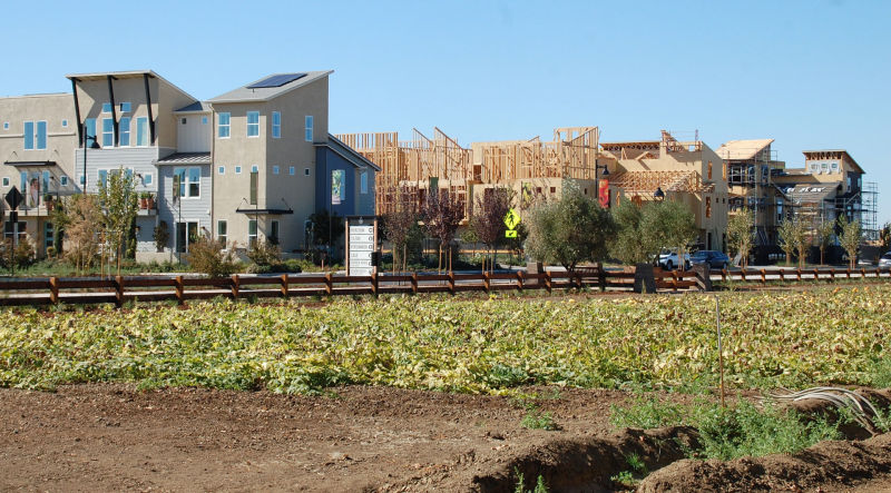 Homes being built alongside The Cannery’s 7.5-acre farm.