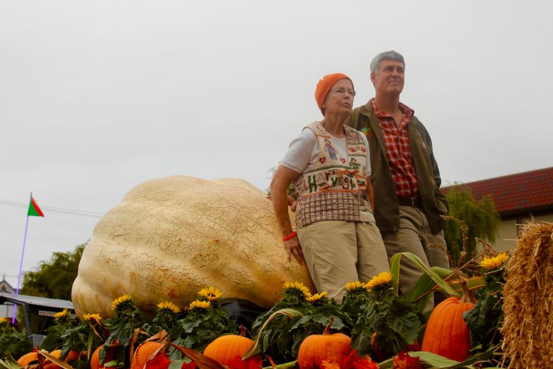 Steve Daletas of Pleasant Hill, OR won the 42nd Annual Safeway World Championship Pumpkin Weigh-Off with his 1,969 pound pumpkin. This is Daletas’ third time winning the weigh off in Half Moon Bay. 