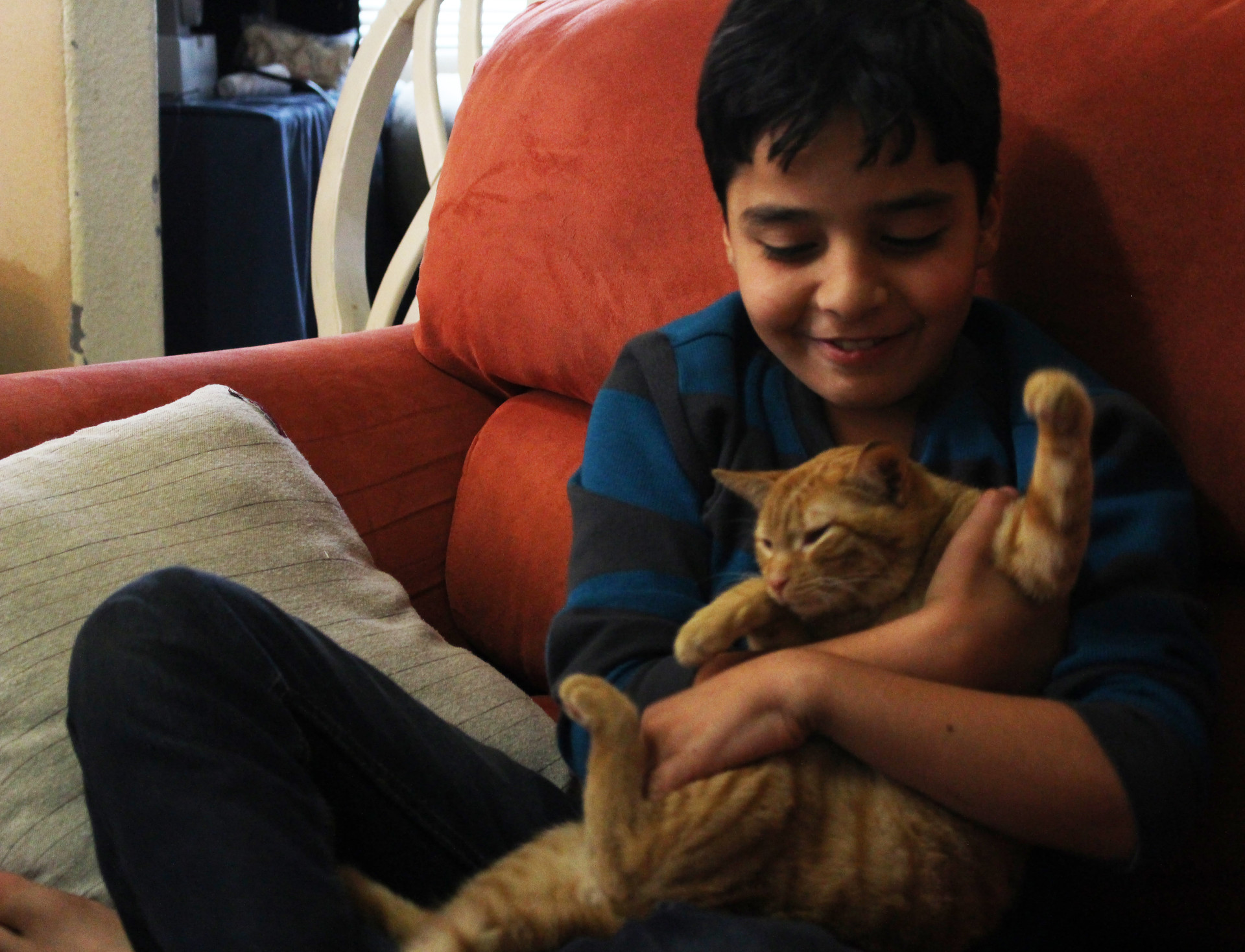 Mohammed Rawoas, 10, plays in his family's Oakland apartment with a cat he adopted and called Simbad.