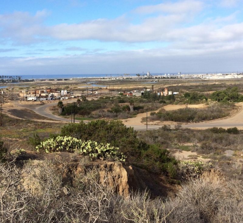 Despite Banning Ranch's history of oil development, Coastal Commission director Charles Lester says it's "incredibly rich in biological resources."