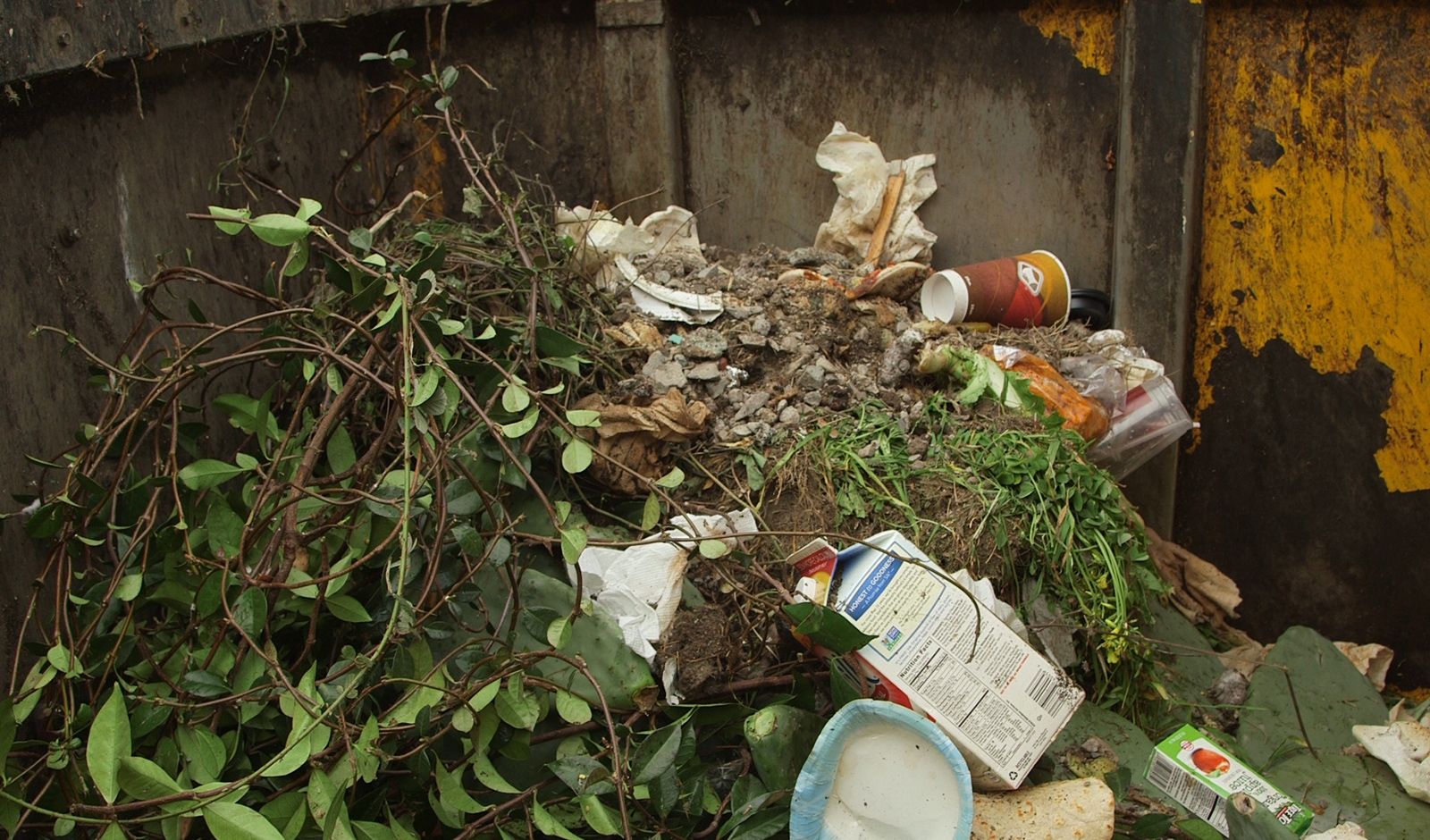 Green waste includes branches, paper, food scraps and every other product that has been alive in your lifetime.