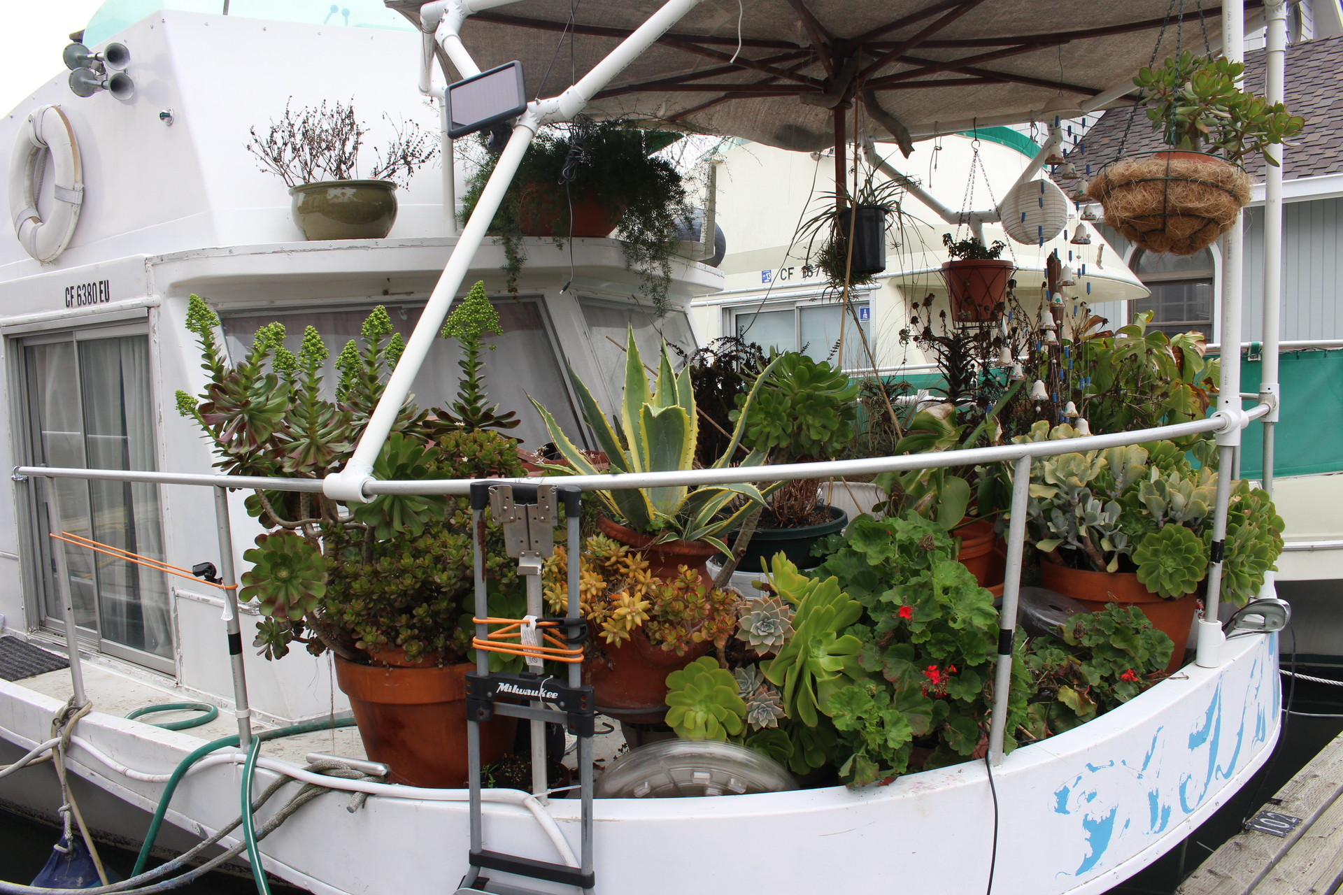 Lush gardens grow from pots at liveaboards in Docktown. The community is fighting for survival.