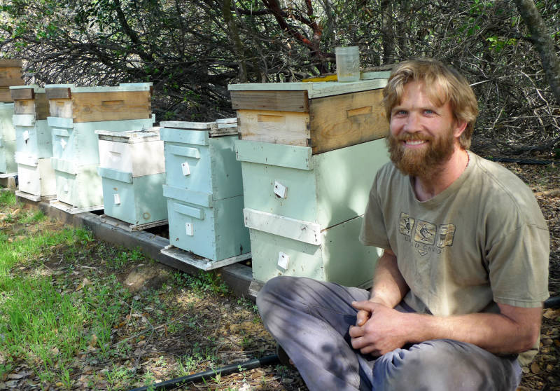 Sean Kriletich, farmer and beekeeper, estimates tens of thousands of hives were displaced by the Butte Fire.