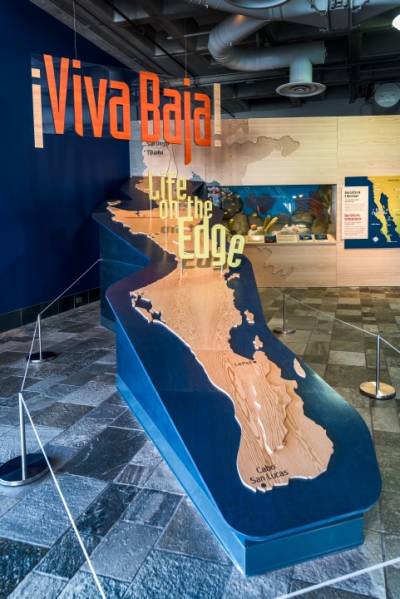 This huge map of Baja, a narrow peninsula in northwestern Mexico, helps orients visitors to the Monterey Bay Aquarium's newest exhibit.