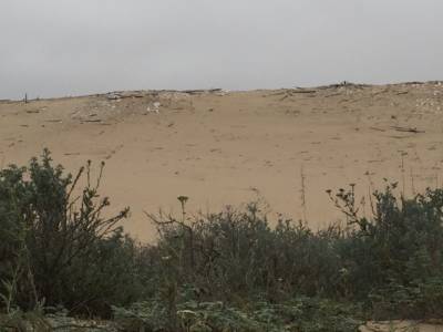 Remains of Cecil B. DeMille’s legendary lost city are scattered across the Guadalupe-Nipomo dunes. Credit: Diane Bock