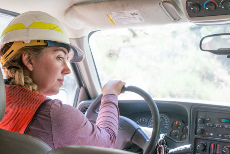 U.S. Forest Service crew member and botanist Paris Krause drives through moderate and high-intensity burn areas one year after the Lake Fire in the San Bernardino National Forest on July 20, 2016.
