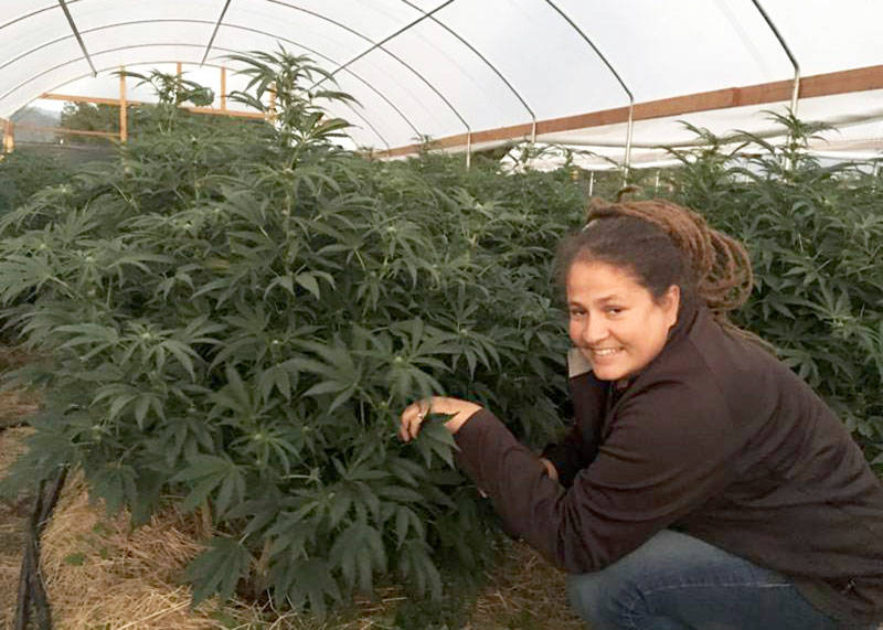 Chrystal Ortiz-Beck believes there will always be a market for high-grade, organic cannabis. 