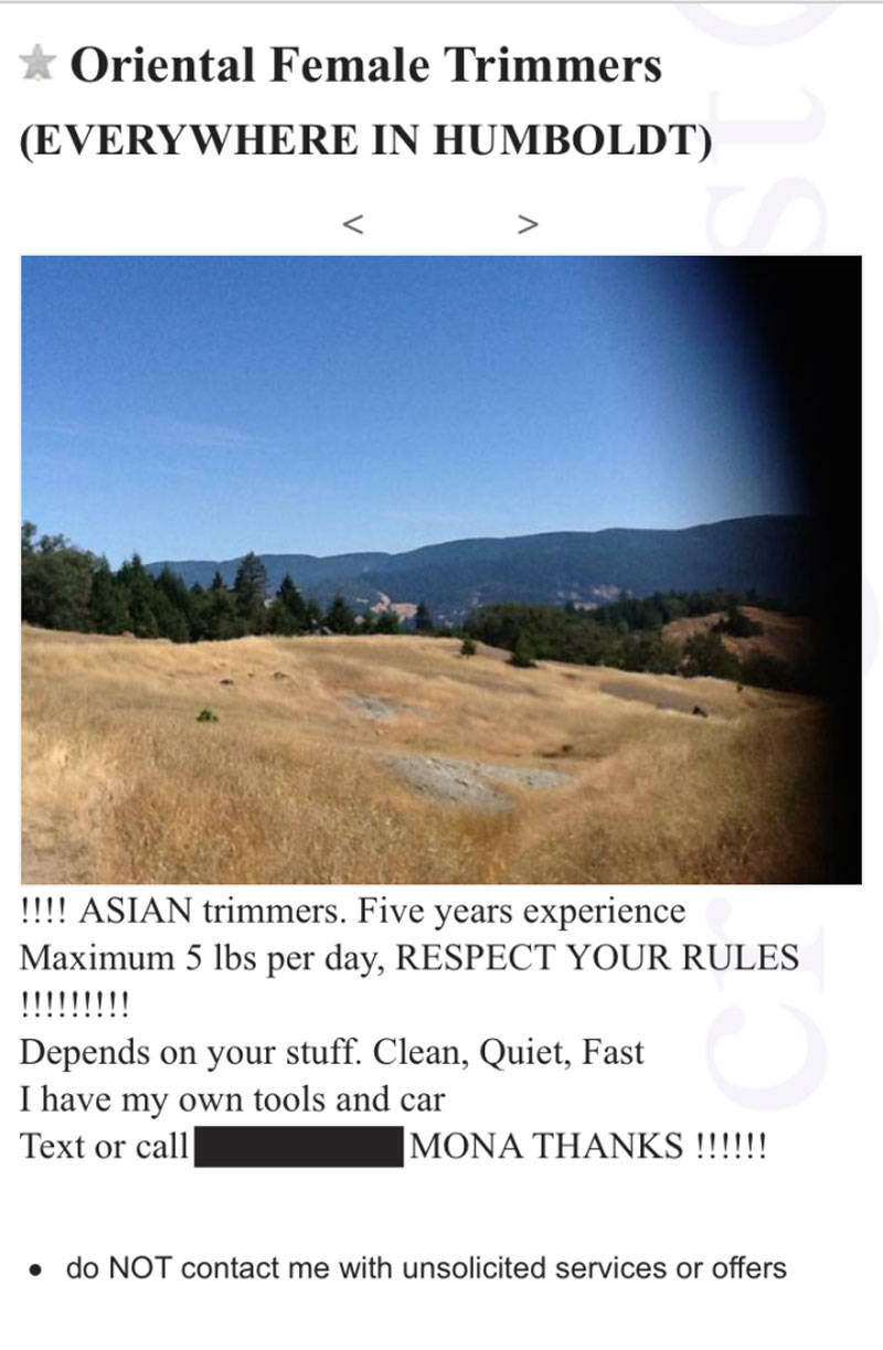 A Craigslist ad offers “Oriental female trimmers” in Humboldt County.