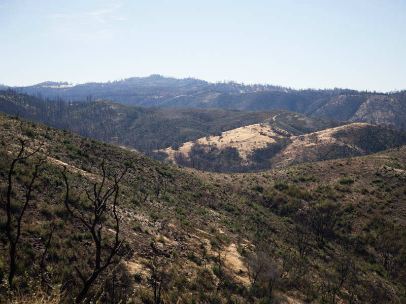 The Butte Fire burned through much of Calaveras County in 2015, and was followed by a "green rush" of cannabis growers buying property in the county's favorable climate for cultivation of the crop.
