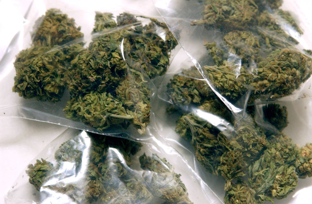 Baggies of marijuana ready for distribution at the San Francisco Patients Cooperative, a medical cannabis cooperative, 