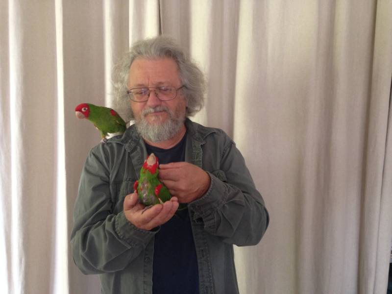 Mark Bittner with two rescued conures.