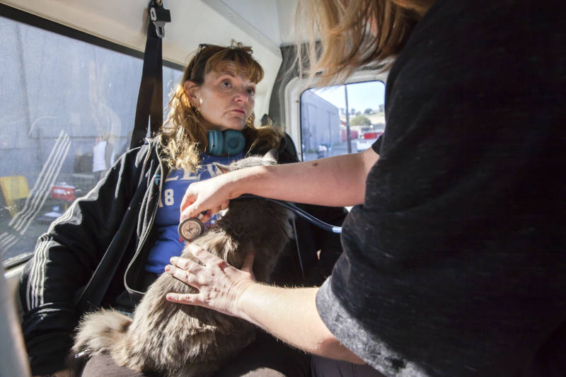 Chandra Carol (left) discusses her cat Roxanne’s symptoms to a vet at the clinic. Roxanne was the only cat seen that day, and unlike their canine patients, was seen inside the Vet S.O.S clinic van where she was able to walk freely inside with her owner. 