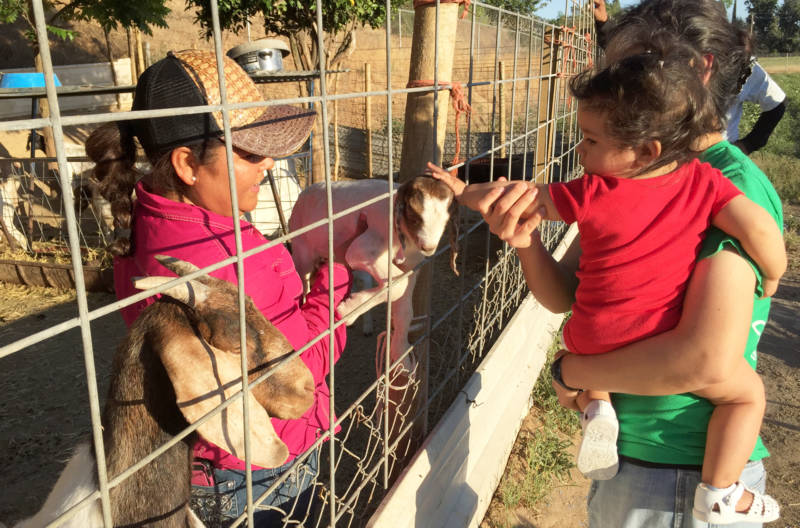 Ana Torres shows off a baby goat to her daughter Yuriana and granddaughter Victoria.