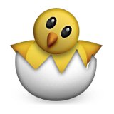 160x160x216-hatching-chick.png.pagespeed.ic.lpyOG6_8Q9