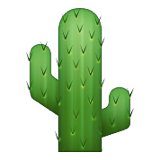 160x160x269-cactus.png.pagespeed.ic.zJX6lGA04u (1)