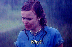 why-the-notebook-gif