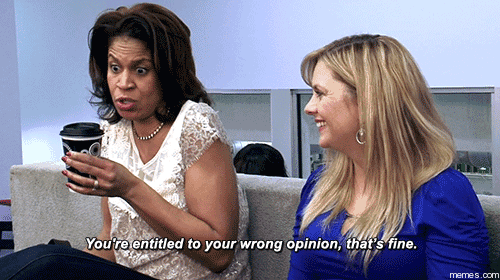 entitled to your wrong opinion gif