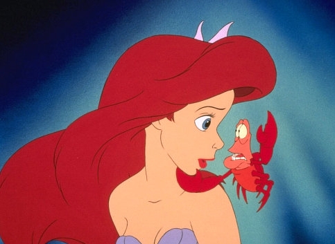 Ariel---Sebastian-the-little-mermaid-45008_483_353