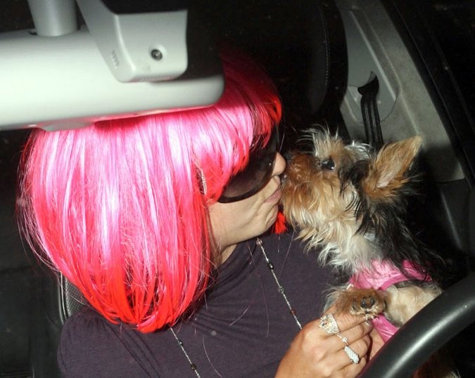 celebrities-kissing-dogs-11282011-26-675x538