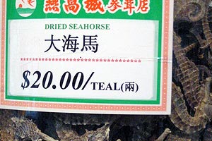 Seahorses are sold as expensive ingredients used in traditional Chinese medicine.