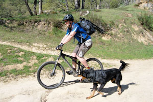 Randy Davis and his dog Lucky in search of photography subjects near Mt. Diablo.