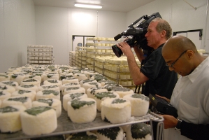 QUEST Producer Sheraz Sadiq looks at the video monitor as cameraman Blake McHugh films racks of St. Pat cheese at the Cowgirl Creamery plant in Petaluma.