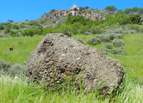 conglomerate