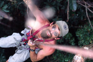 Brian Fisher collecting ants in the Madagascar canopy