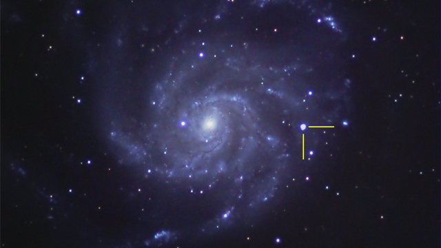 Supernova 2011fe in M-101