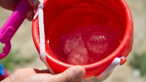 bucket of jellies