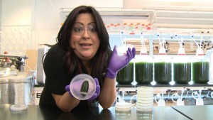 Emma Valdez, a Sapphire Energy technician, holds a petri dish with 1 million algae cells. Algae is grown and scaled up to 20-liter containers in about one week.