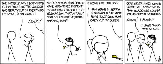 xkcd comic about slime molds
