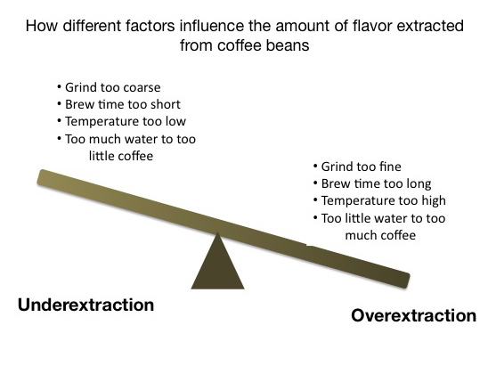 Factors influencing coffee flavor