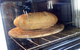 Bread baking in a conventional oven