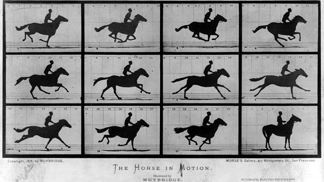 The Horse in Motion - Eadward Muybridge