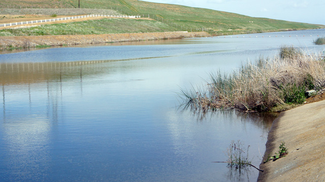 A canal in the south Delta, sending water to the Central Valley Project.