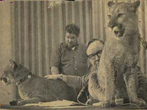 john dunlap with lions