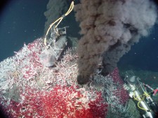A bed of tube worms cover the base of the black smoker in the Main Endeavour Vent Field, NE Pacific. Courtesy NOAA PMEL EOI