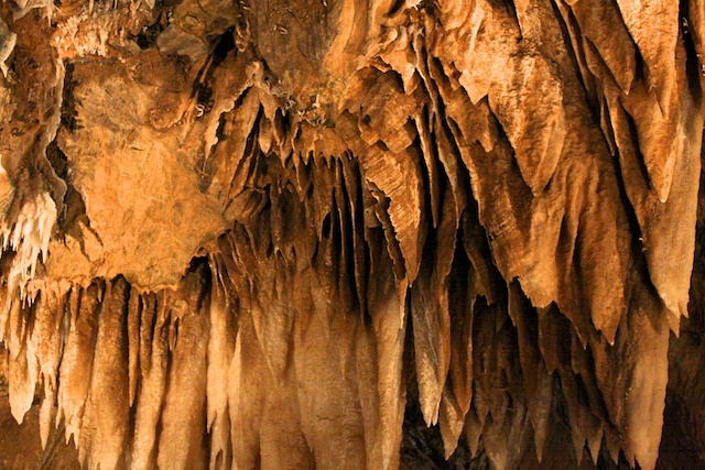 "Angel Wing" formations are created by mineral deposits as water droplets flow down cave walls.