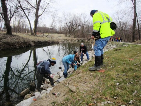 Volunteers lend a hand to stabilize the streambank and  restore Euclid Creek's damaged wetlands.