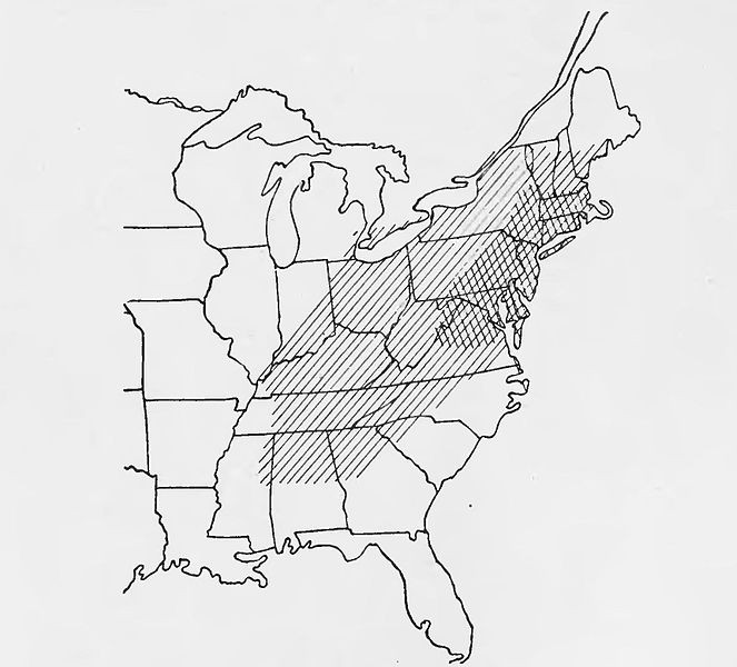 Natural range of the American chestnut as reported in 1914.  The cross hatching shows the extent of the blight back then.  Image courtesy of Wikimedia commons.
