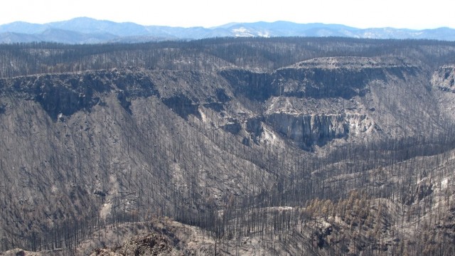 The effects of the Las Conchas Fire in the Jemez Mountains in New Mexico in 2011. (Photo by Craig D. Allen, USGS)
